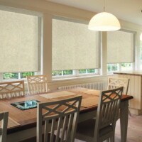 roller and solar shades