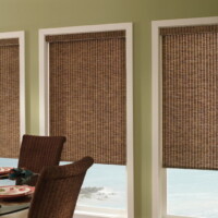 roller and solar shades